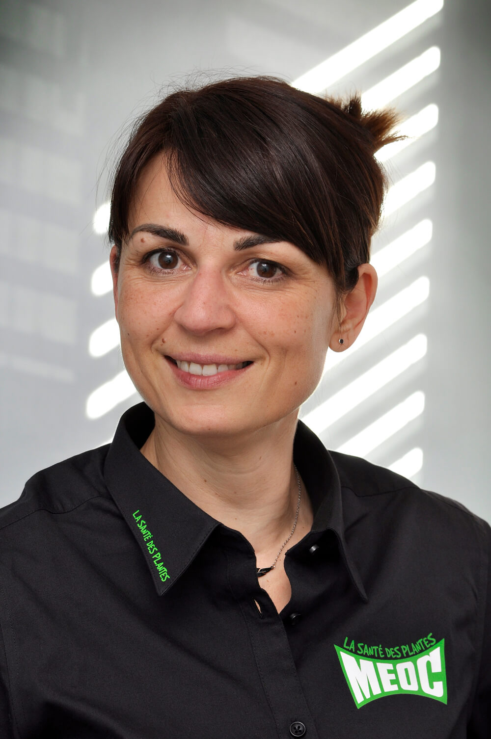 Description alternative par défaut