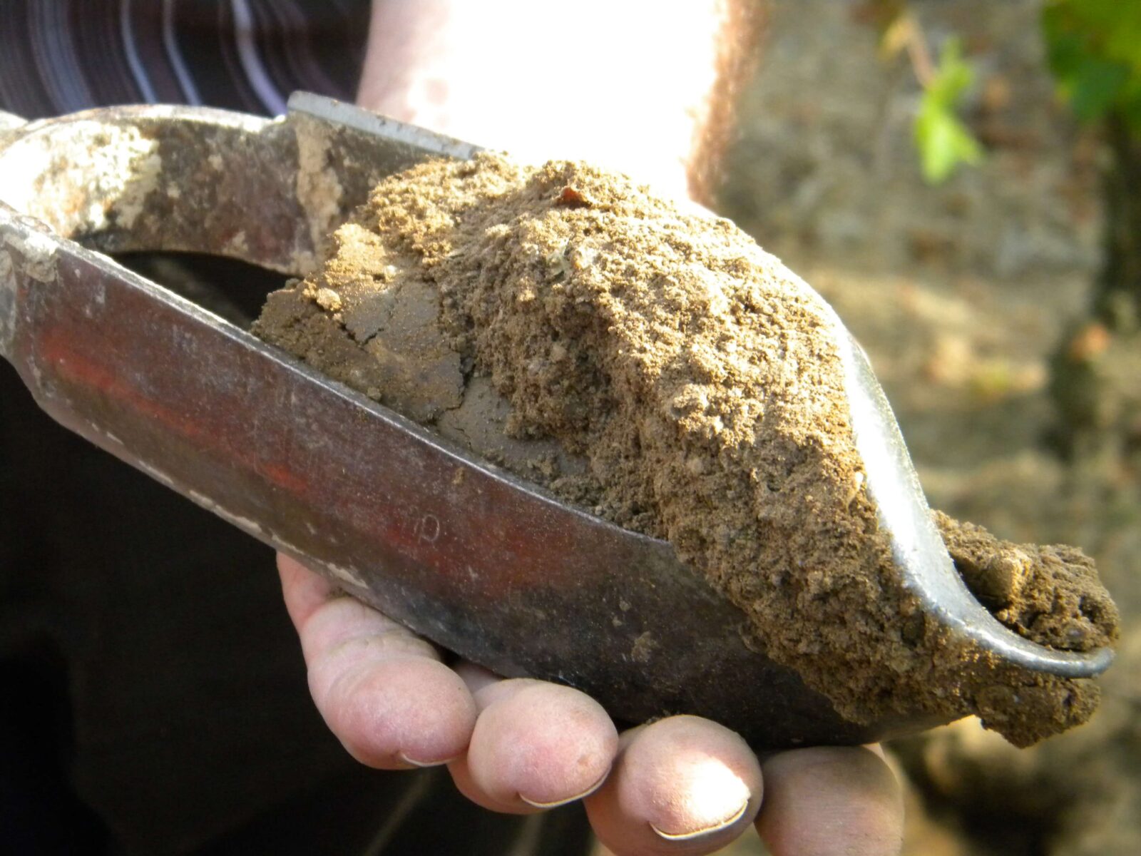 Description alternative par défaut