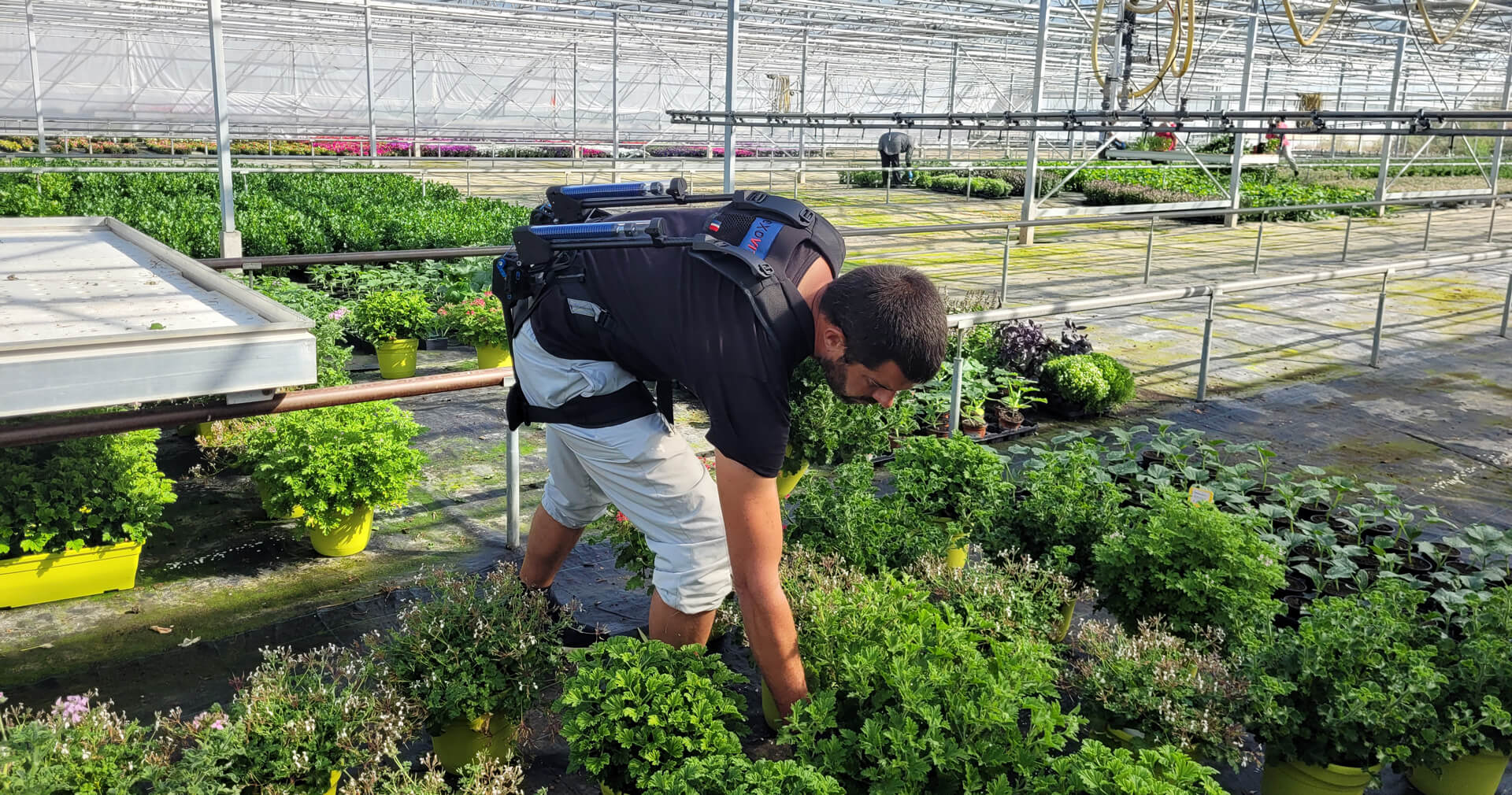 Soulagez votre dos, gagnez en confort avec Exoviti  !