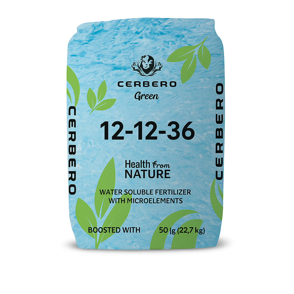 Description alternative par défaut