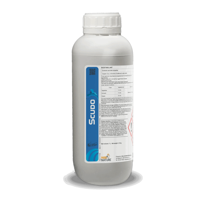 Description alternative par défaut