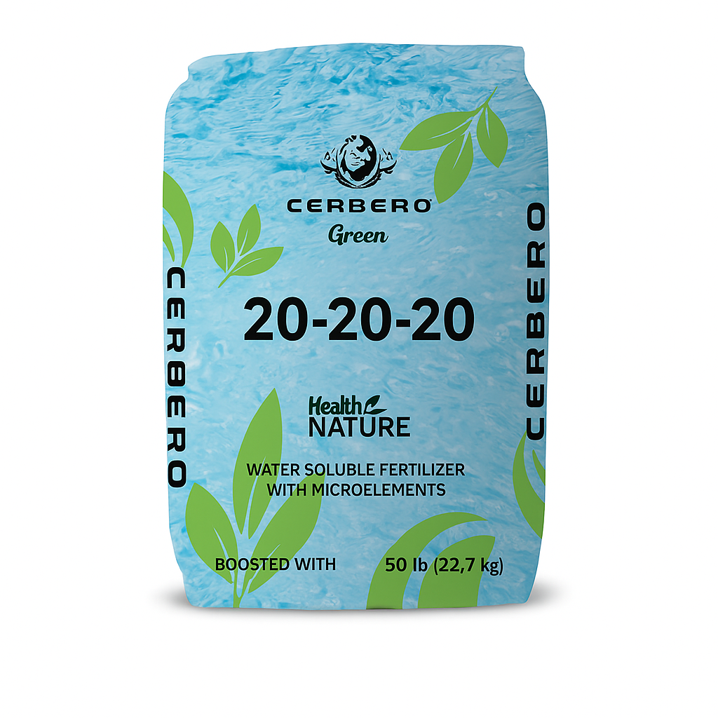 Description alternative par défaut