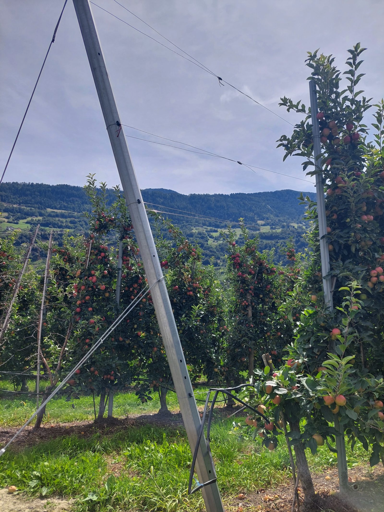 Description alternative par défaut