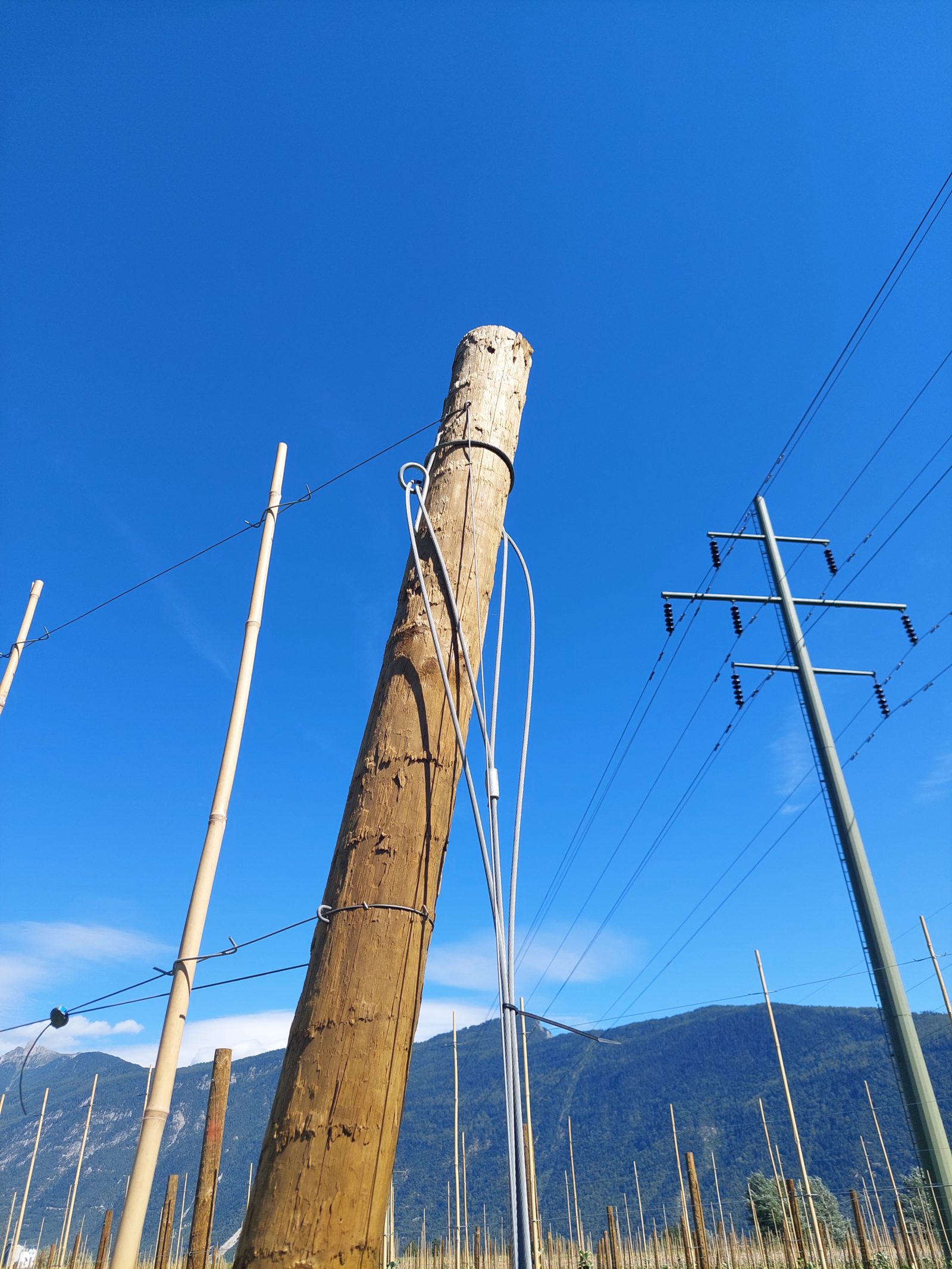 Description alternative par défaut