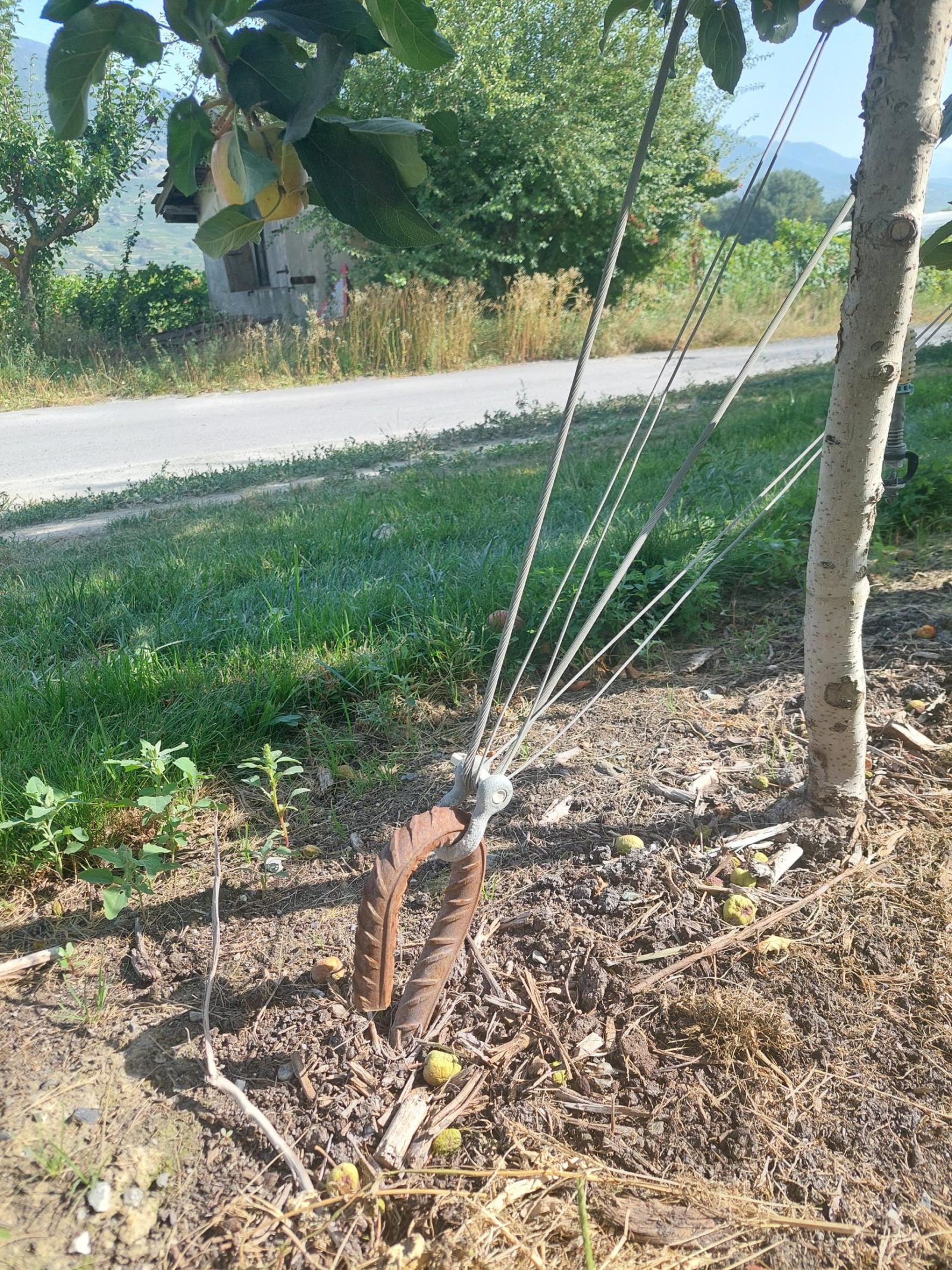 Description alternative par défaut