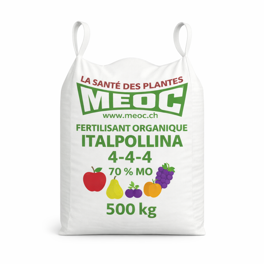 Description alternative par défaut