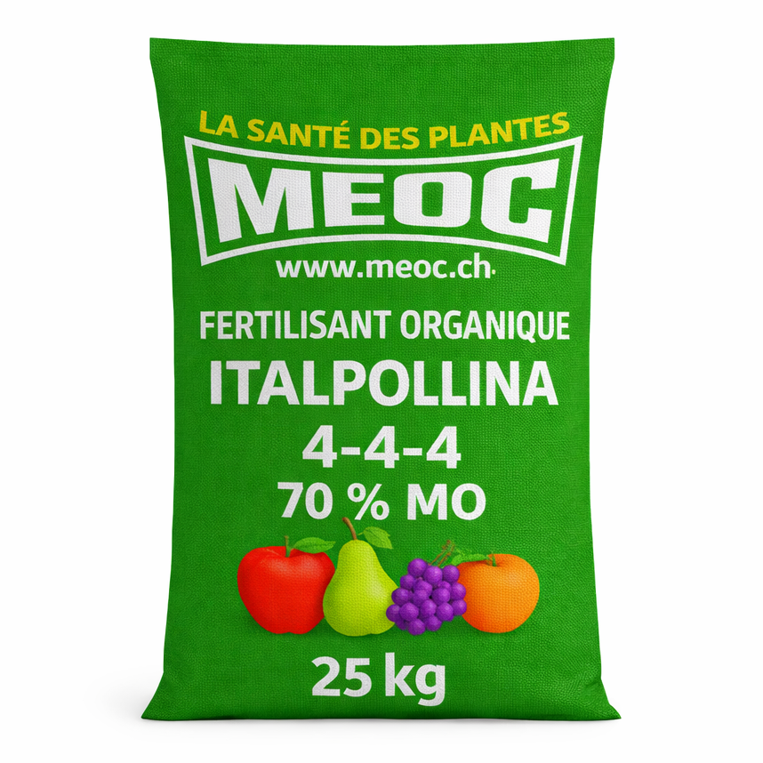 Description alternative par défaut