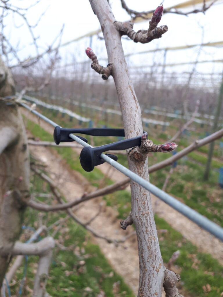 Description alternative par défaut