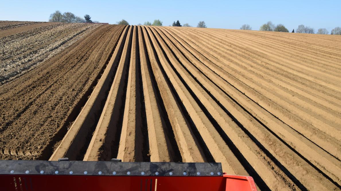 Description alternative par défaut