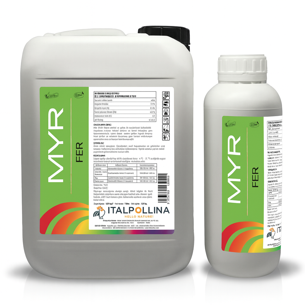 Description alternative par défaut