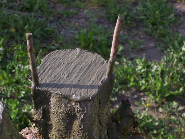 Description alternative par défaut