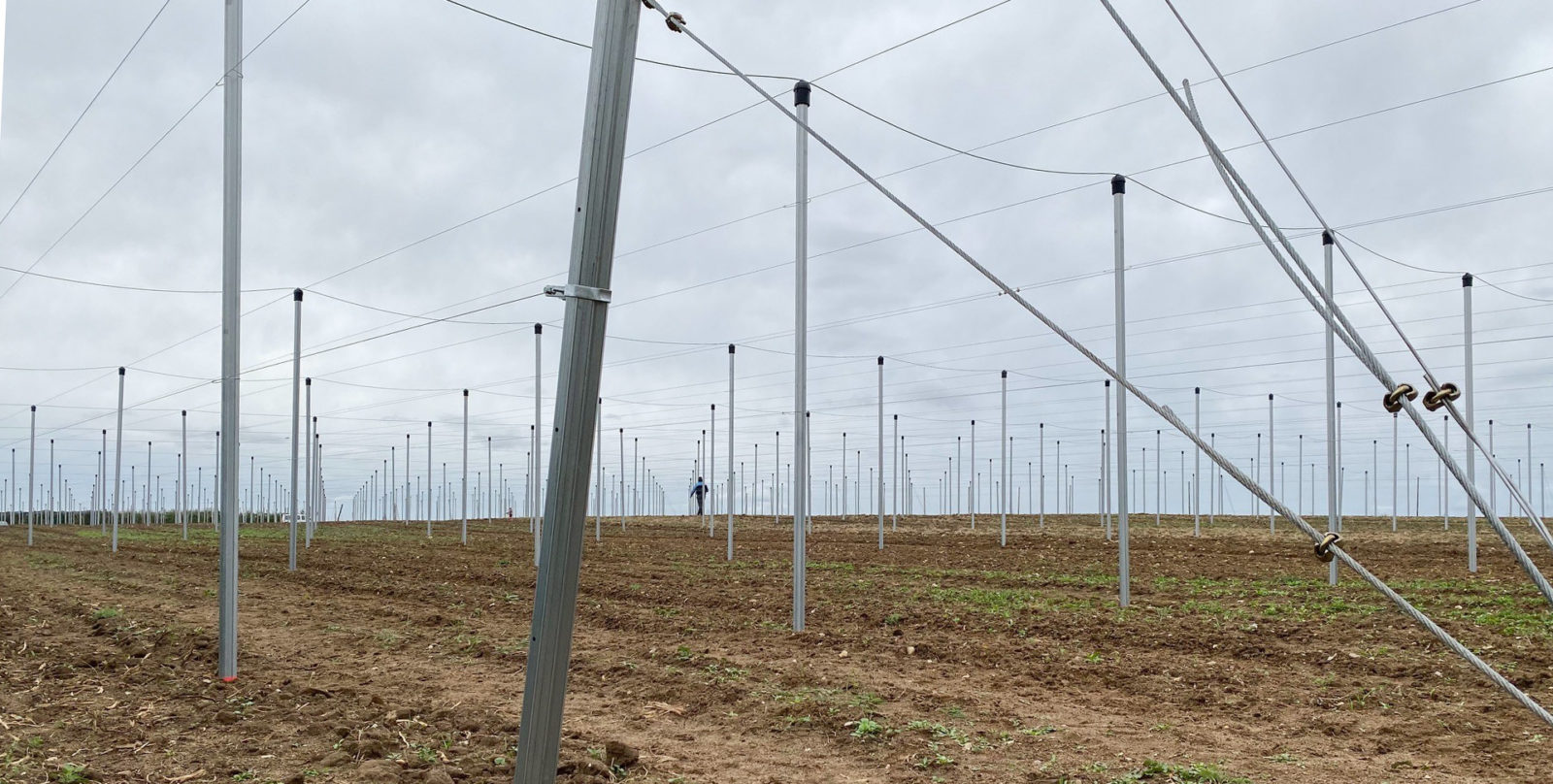 Description alternative par défaut