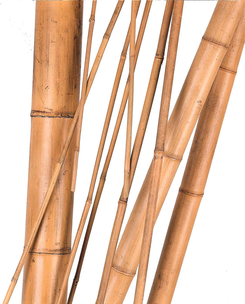 Description alternative par défaut