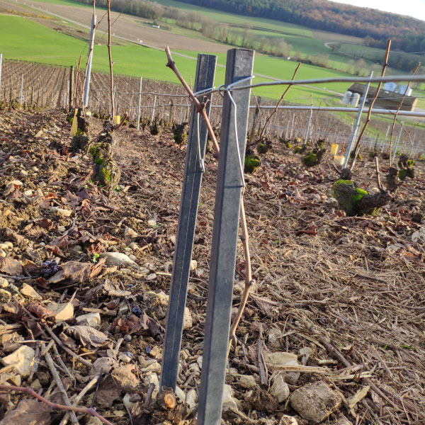 Description alternative par défaut