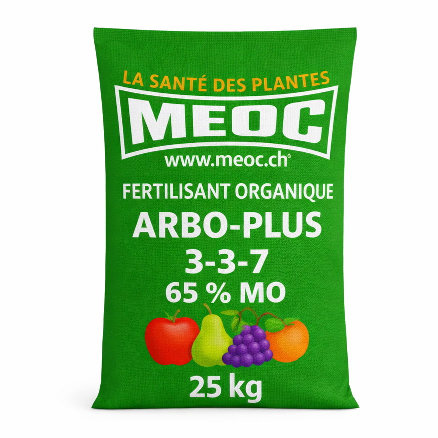 Description alternative par défaut