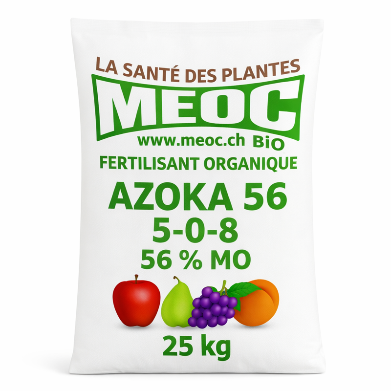 Description alternative par défaut