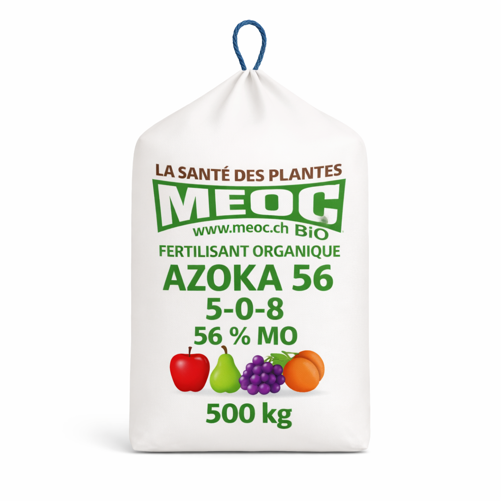 Description alternative par défaut