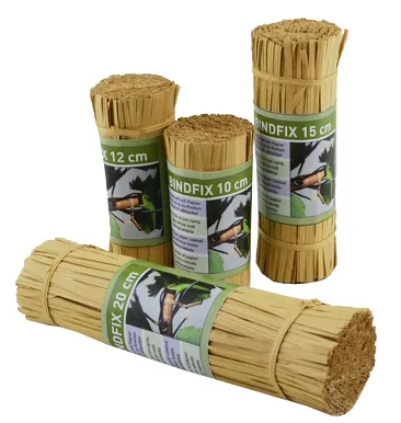 Description alternative par défaut