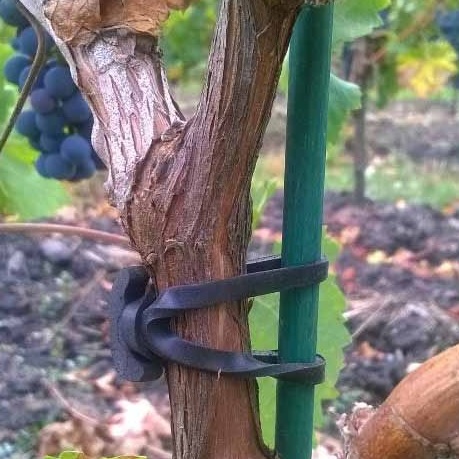 Description alternative par défaut