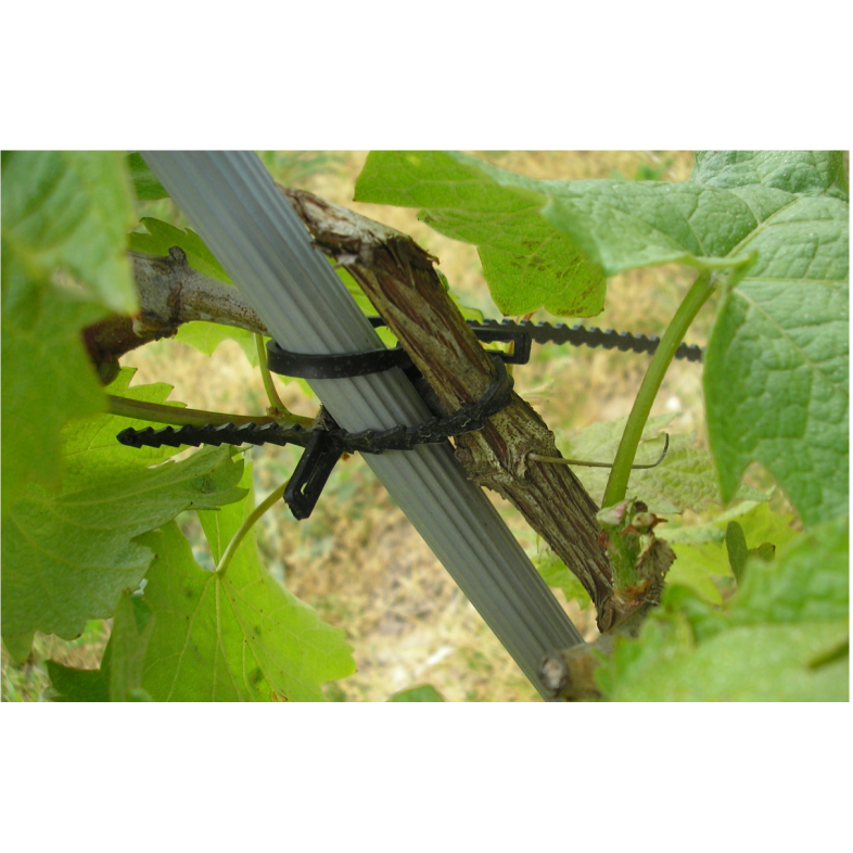 Description alternative par défaut