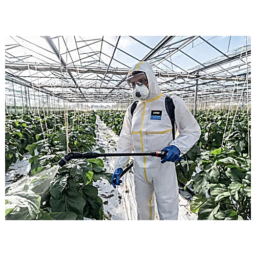 Description alternative par défaut