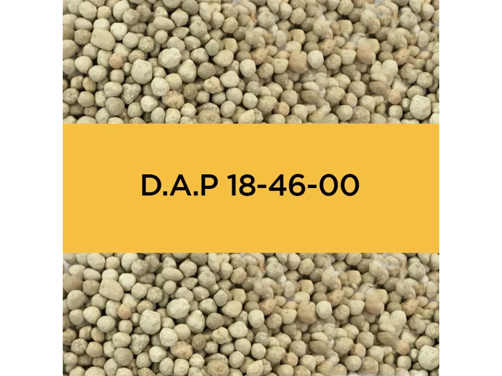 Description alternative par défaut