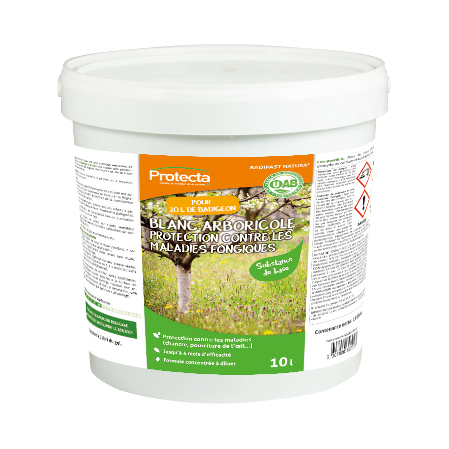 Description alternative par défaut