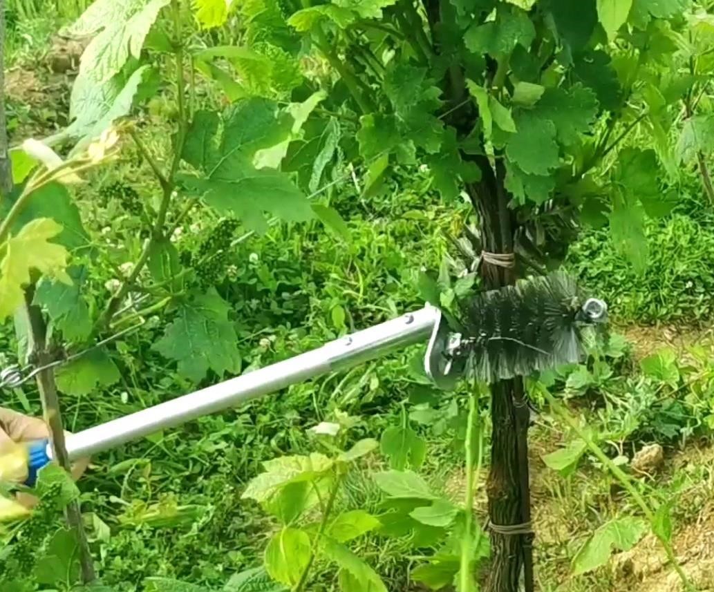 Description alternative par défaut