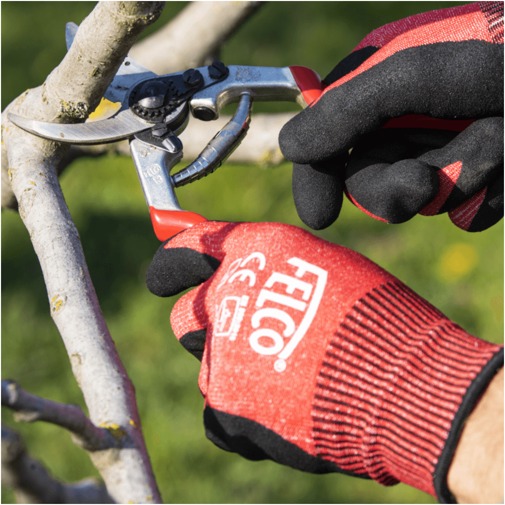 Description alternative par défaut