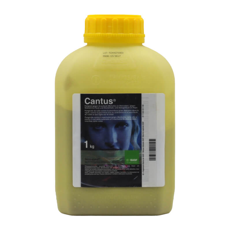 Description alternative par défaut