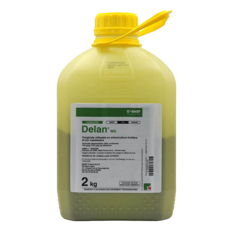 Description alternative par défaut