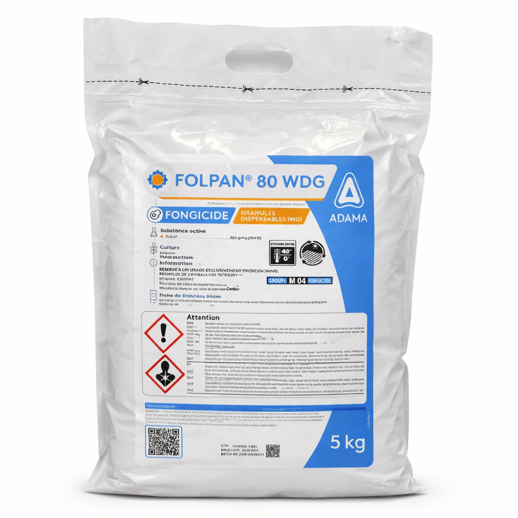 Description alternative par défaut