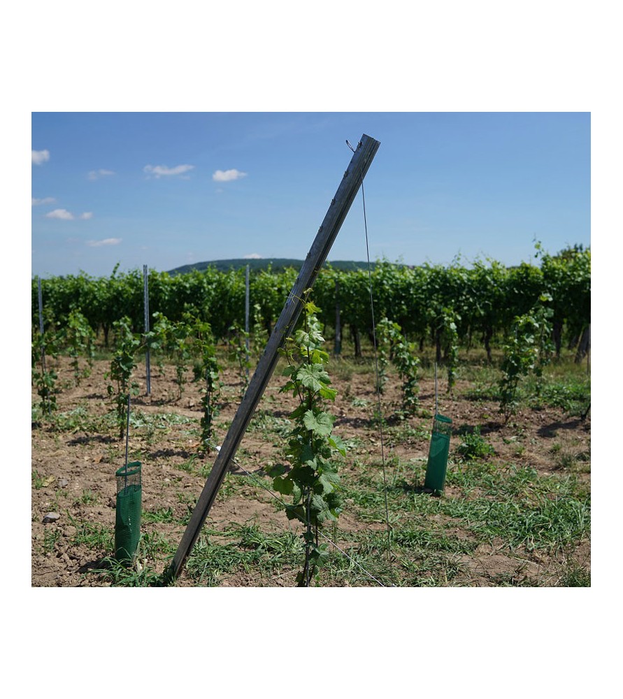 Description alternative par défaut