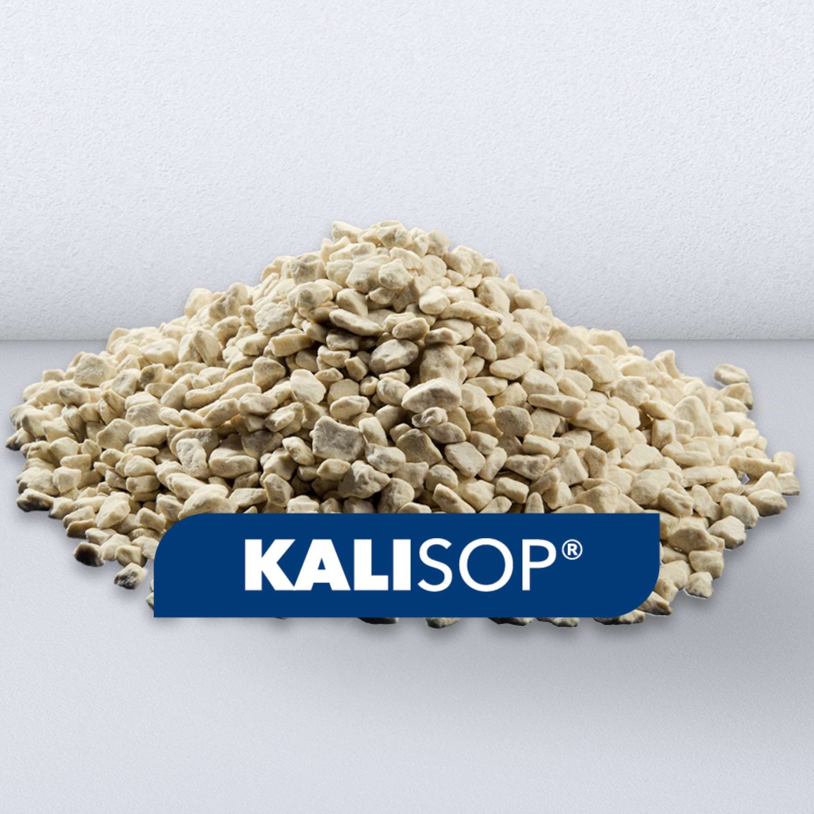 Description alternative par défaut