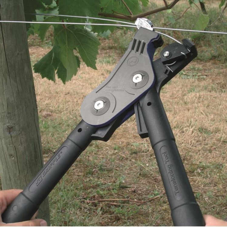 Description alternative par défaut