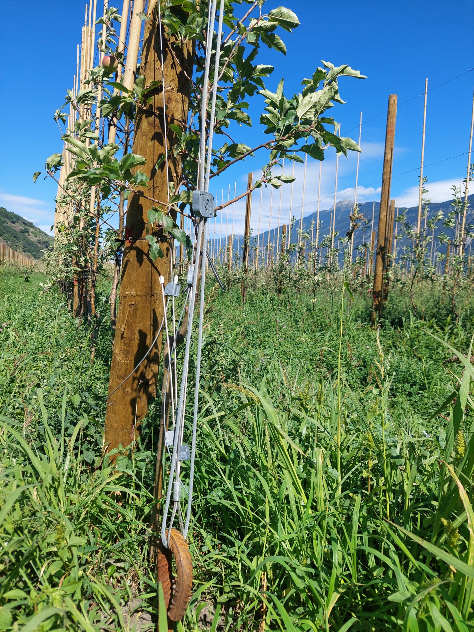 Description alternative par défaut