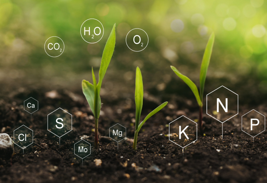 Description alternative par défaut