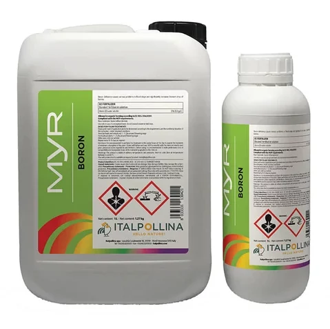 Description alternative par défaut