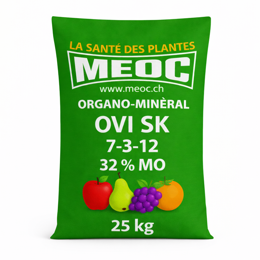 Description alternative par défaut