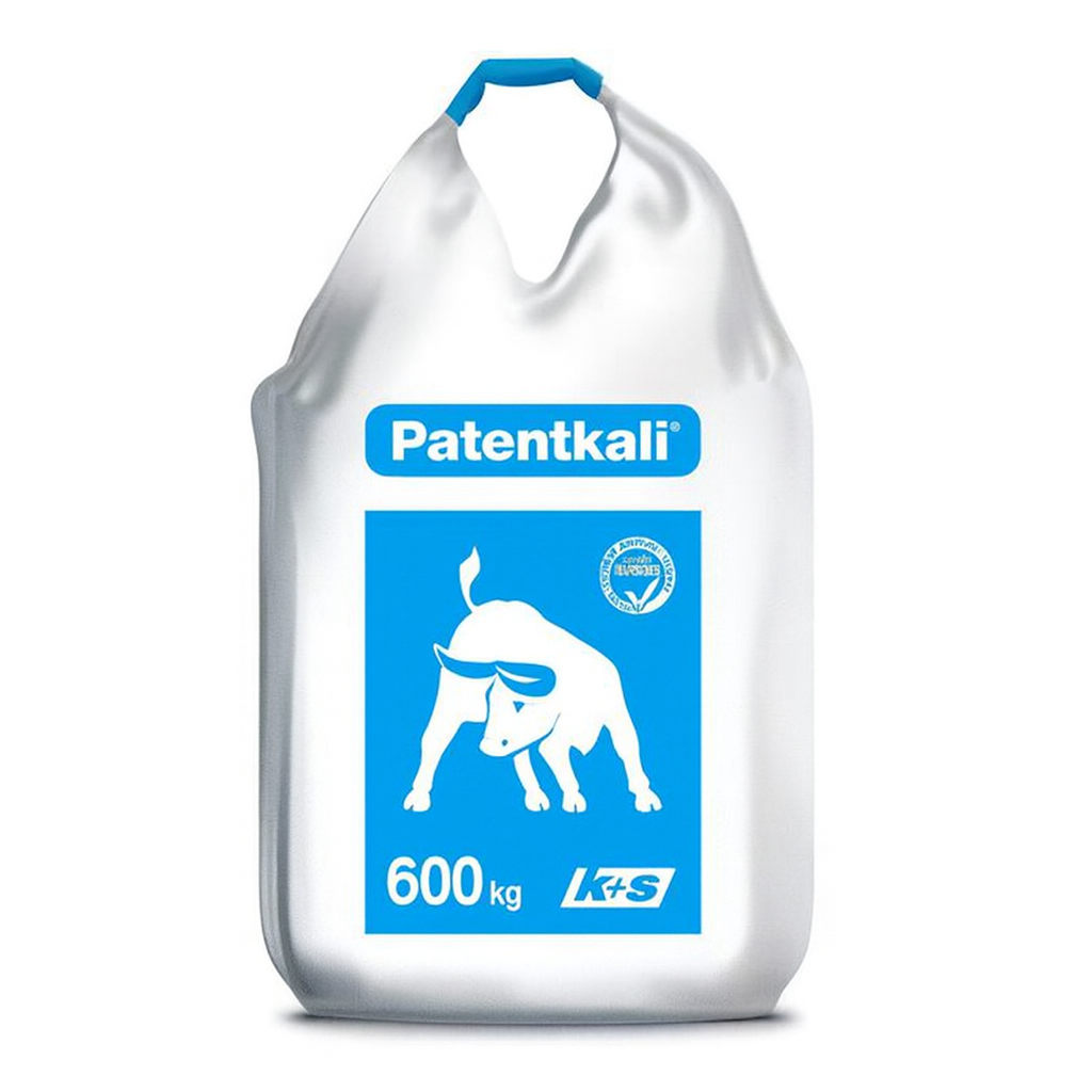 Description alternative par défaut