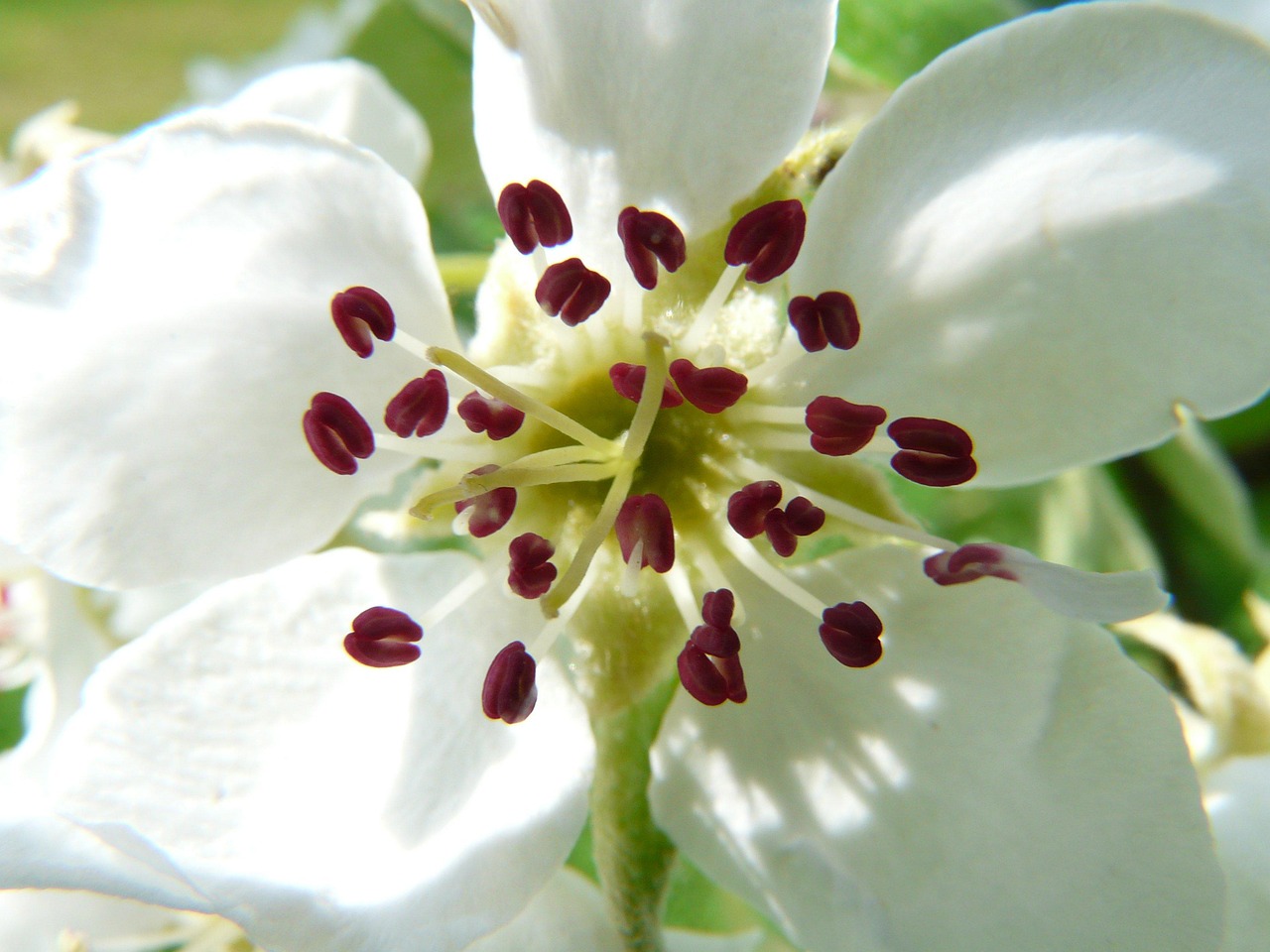 Description alternative par défaut