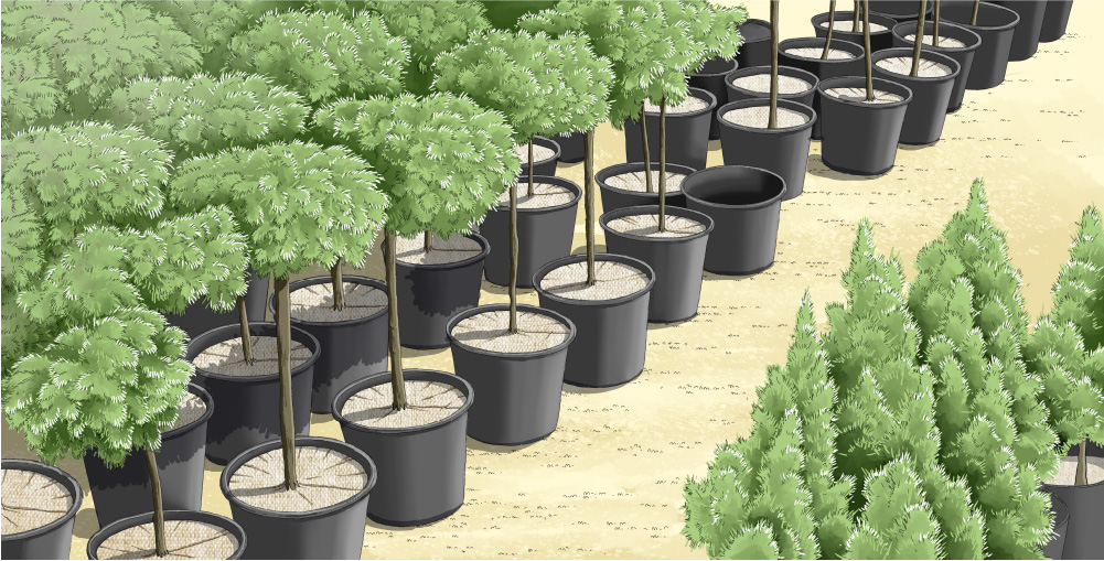 Description alternative par défaut