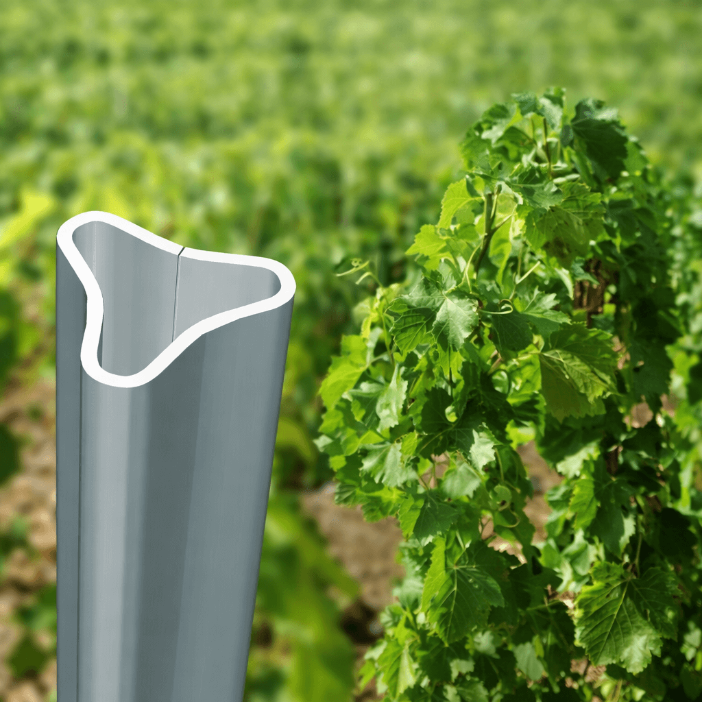 Description alternative par défaut