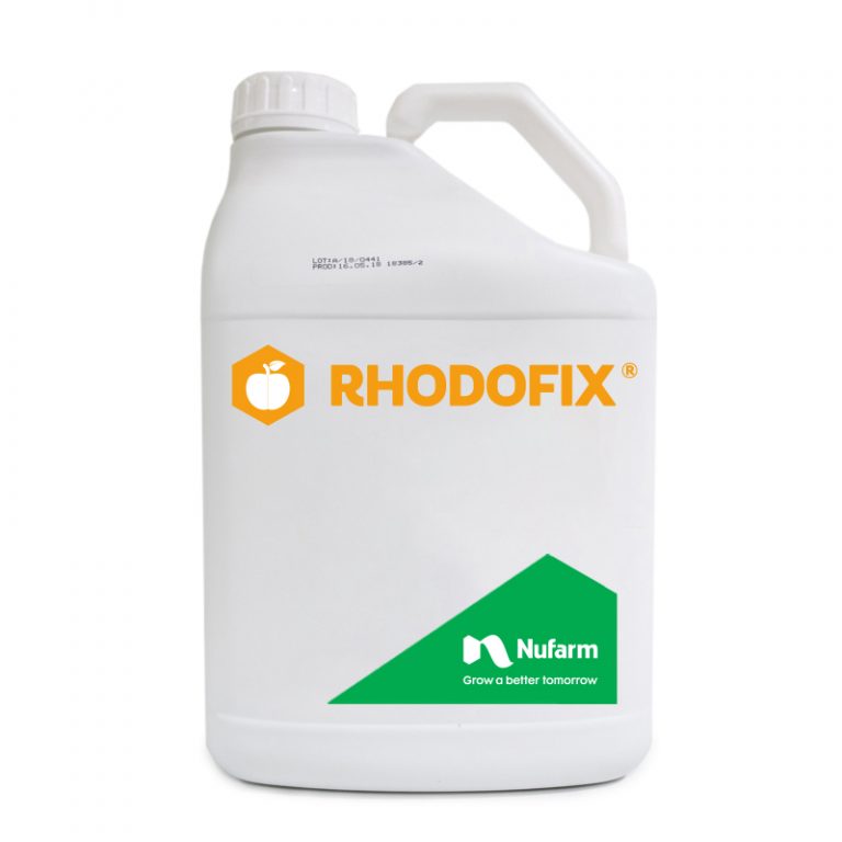 Description alternative par défaut