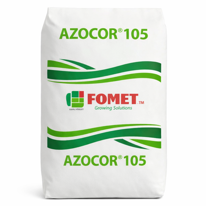 Description alternative par défaut