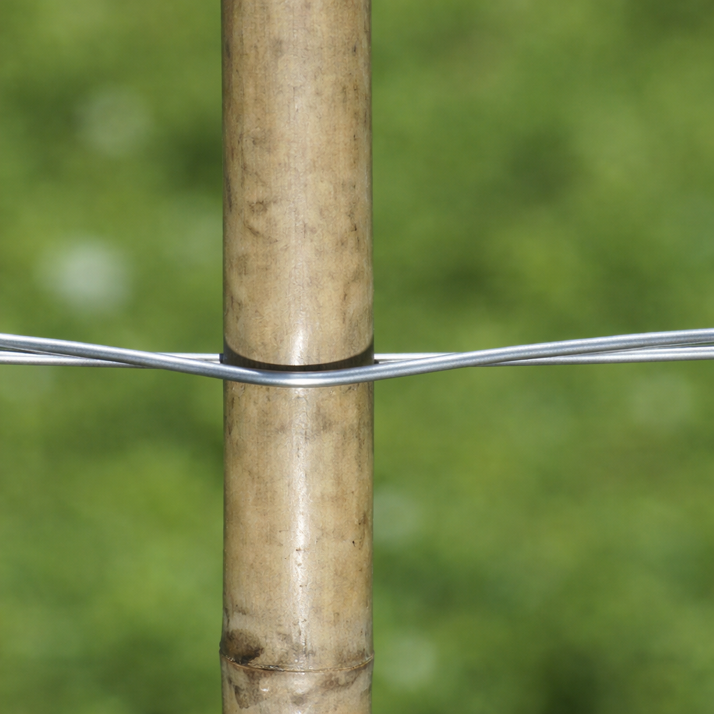 Description alternative par défaut