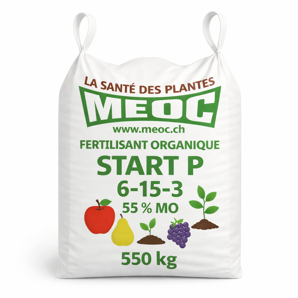 Description alternative par défaut