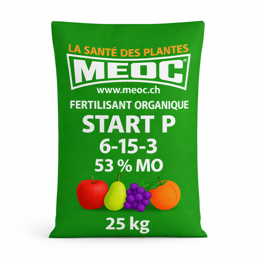 Description alternative par défaut