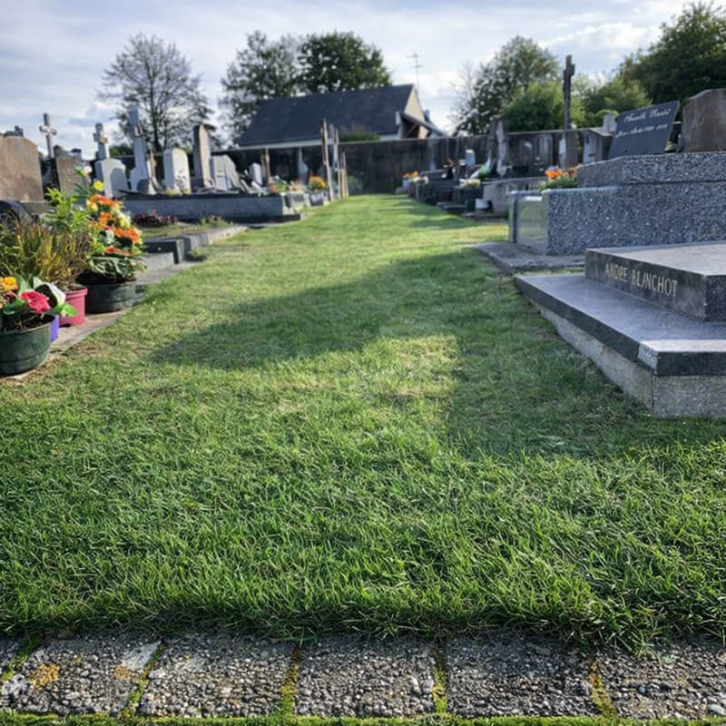 Description alternative par défaut