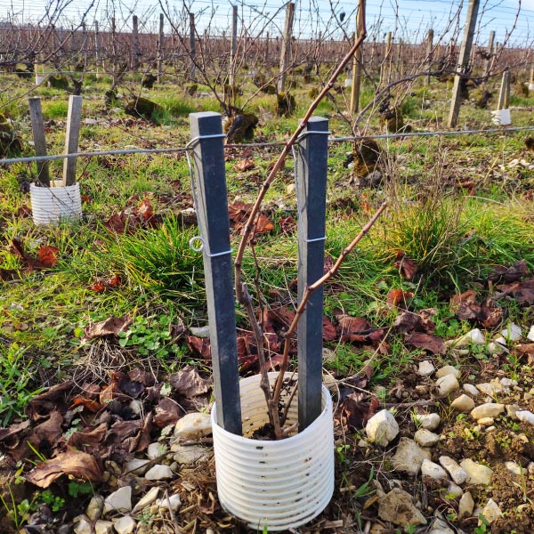 Description alternative par défaut